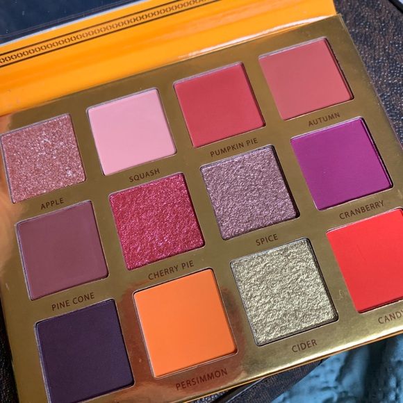 Ace Beaute Other - Ace beautē falling for you eye shadow palette